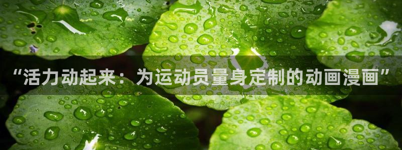 MK体育官方正版app集团官网网址
