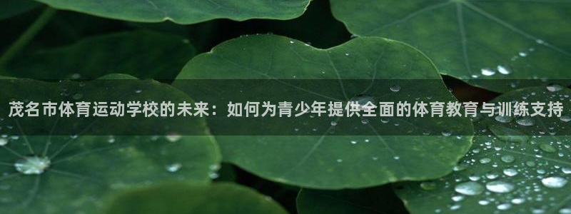 MK体育官方正版app五金厂：茂名市体育运动学校的未