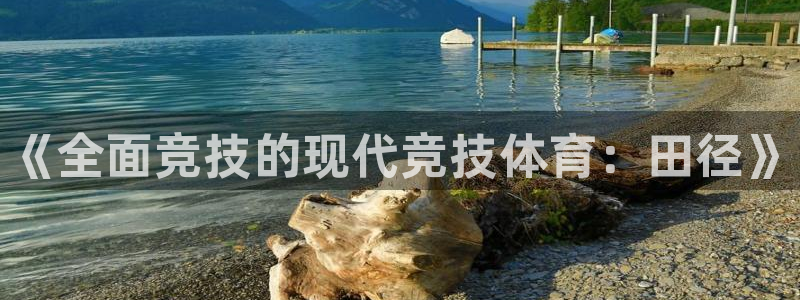 MK体育官网下载平台假的吗是真的吗吗：《全面竞技的现