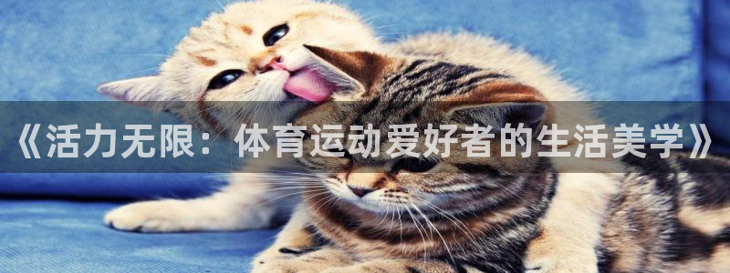 MK体育官方正版app娱乐代理怎么样：《活力无限：体