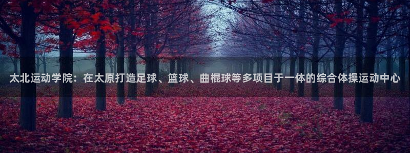 MK体育官方正版app集团E.ON：太北运动学院：在
