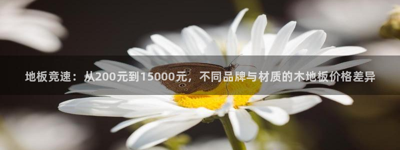 MK体育官网下载注册：地板竞速：从200元到1500