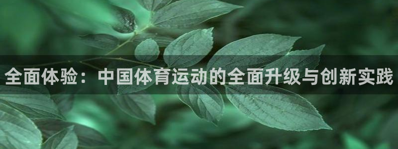 MK体育官网下载平台APP：全面体验：中国体育运动的