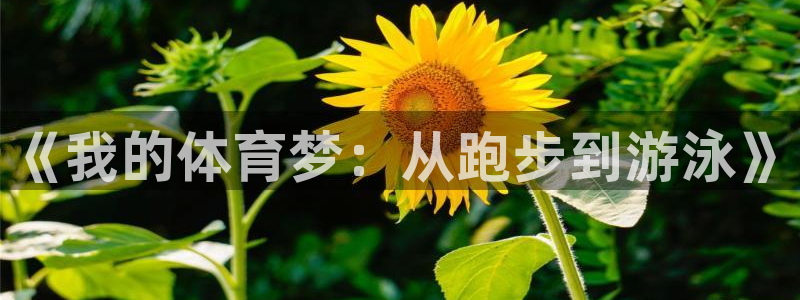 MK体育官网下载招商电话是多少号码：《我的体育梦：从