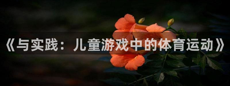 MK体育官方正版app神州：《与实践：儿童游戏中的体