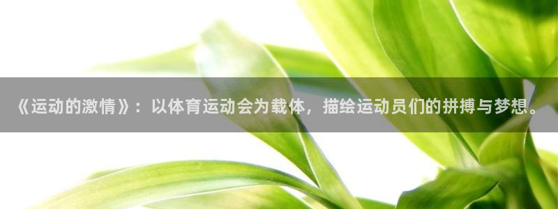 MK体育官方正版app娱乐下载：《运动的激情》：以体