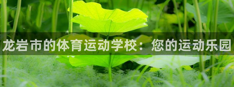 MK体育官方正版app娱乐40996：龙岩市的体育运