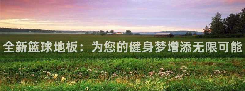 MK体育官方正版app娱乐：全新篮球地板：为您的健身