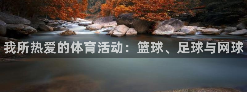 MK体育官网下载招商电话号码：我所热爱的体育活动：篮