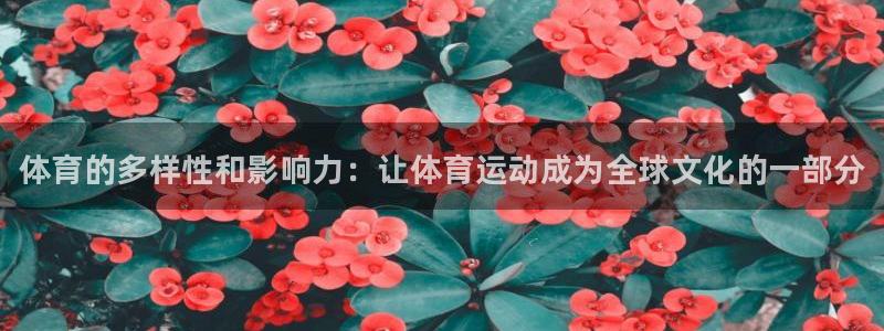 MK体育官方正版app集团官网首页网址：体育的多样性