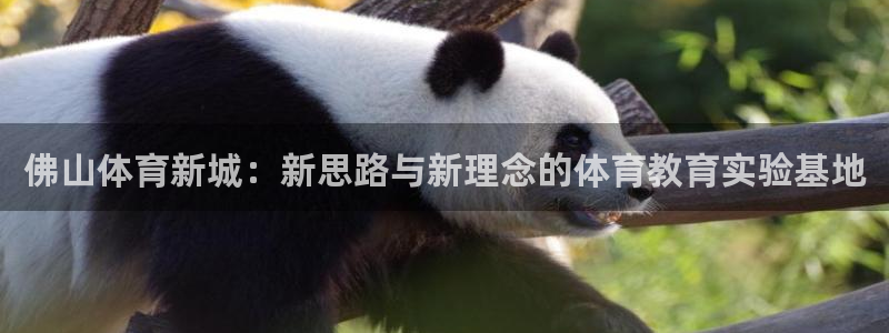 MK体育官网下载平台假的吗是真的吗吗：佛山体育新城：