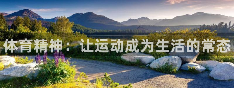 MK体育官方正版app官网：体育精神：让运动成为生活