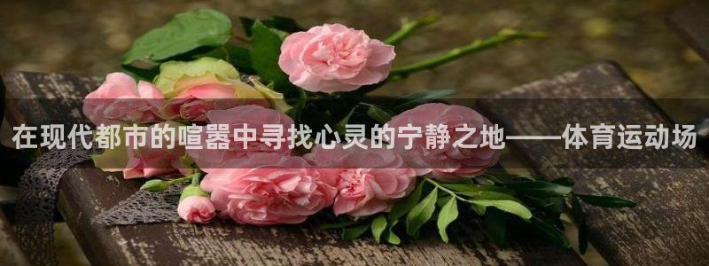 MK体育官网下载招商：在现代都市的喧嚣中寻找心灵的宁