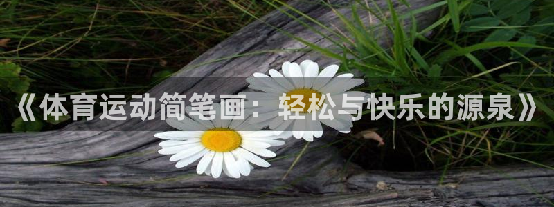 MK体育官方正版app娱乐平台：《体育运动简笔画：轻