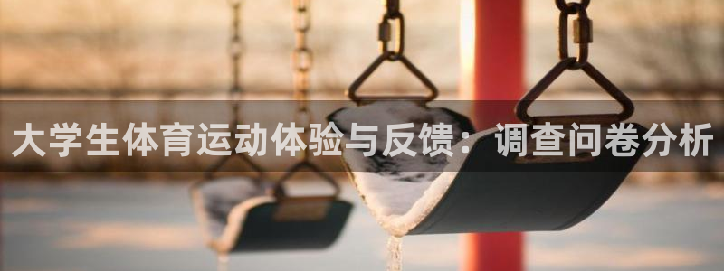 MK体育官方正版app官方：大学生体育运动体验与反馈：调查问