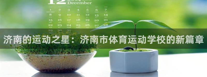 MK体育官网下载平台注册要钱吗：济南的运动之星：济南