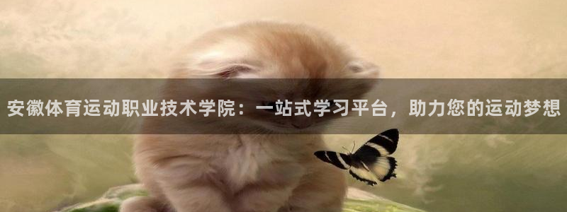 MK体育官方正版app娱乐下载：安徽体育运动职业技术