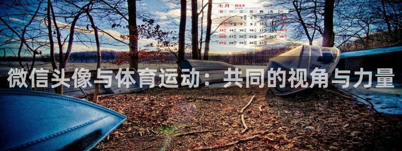 注册MK体育官方正版app：微信头像与体育运动：共同的视角与