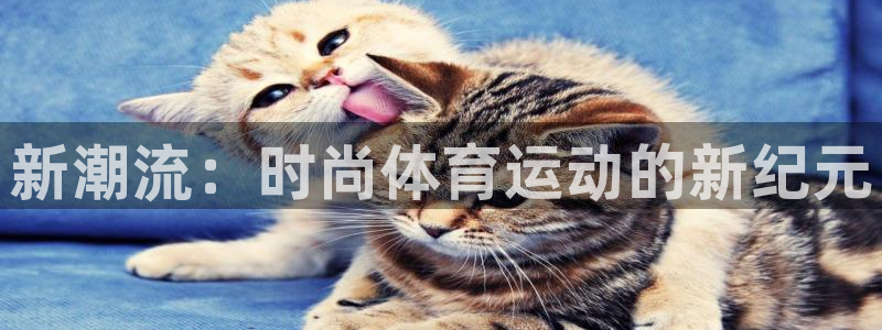 MK体育官方正版app集团官网首页网址