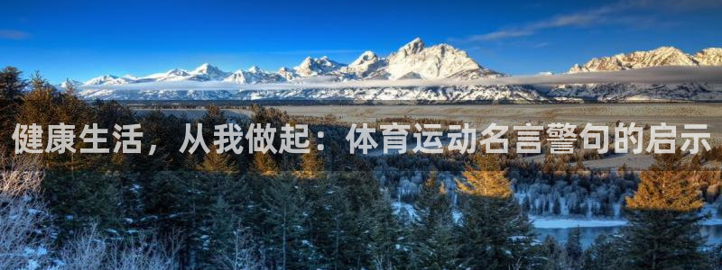 注册MK体育官方正版app：健康生活，从我做起：体育