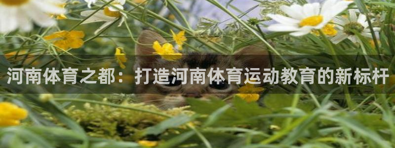 注册MK体育官方正版app：河南体育之都：打造河南体