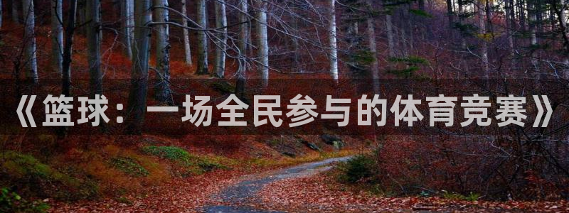 MK体育官网下载是干嘛的公司：《篮球：一场全民参与的体育竞赛
