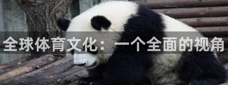 MK体育官网下载平台注册流程图：全球体育文化：一个全面的视角