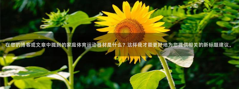 MK体育官方正版app集团简介：在您的博客或文章中提到的家庭