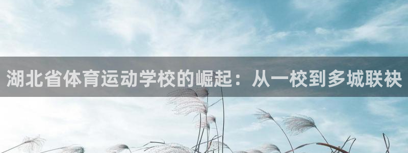 MK体育官方正版app娱乐平台：湖北省体育运动学校的