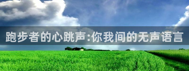 MK体育官网下载招商电话地址查询：跑步者的心跳声:你我间的无