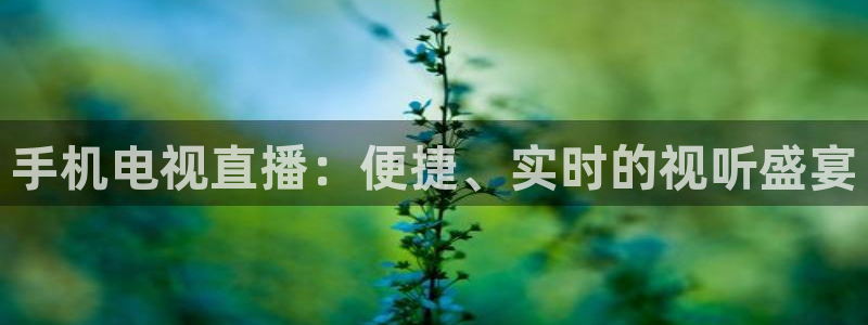 火凤直播体育：手机电视直播：便捷、实时的视听盛宴
