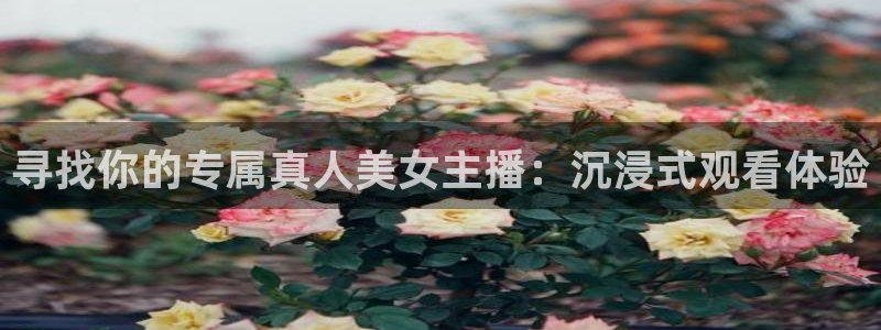 nba直播火凤直播：寻找你的专属真人美女主播：沉浸式观看体验