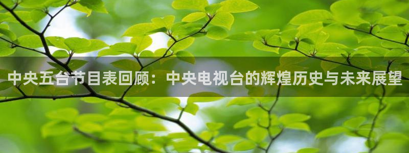 火凤体育nba直播：中央五台节目表回顾：中央电视台的辉煌历史与未来展望